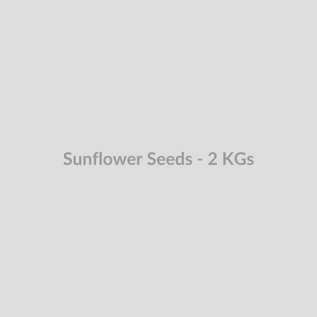 Sunflower Seeds - 2 KGs - DryFruit Bazaar.store
